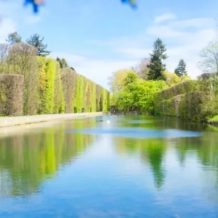 Mye - Oliva Point * Gdaňsk